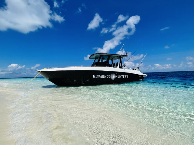 Listing image 1076211