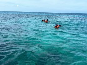 A group of snorkelers explores the vibrant underwater world in crystal-clear waters, showcasing the excitement of marine adventures.