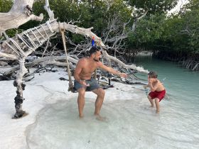 A playful moment between a father and son at the beach, with the child enjoying a swing and splashing in the shallow water — perfect for family adventures in nature.