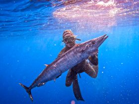 A diver proudly holds a large fish while underwater, showcasing the thrill of deep-sea fishing adventures.