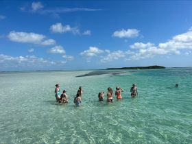 A lively group enjoys a sandbar stop, wading in the crystal-clear waters under a bright blue sky — perfect for a fun day at the beach.