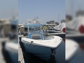 A clear view of a center console boat docked at the marina, showcasing its sleek design and features, perfect for fishing or day trips on the water.