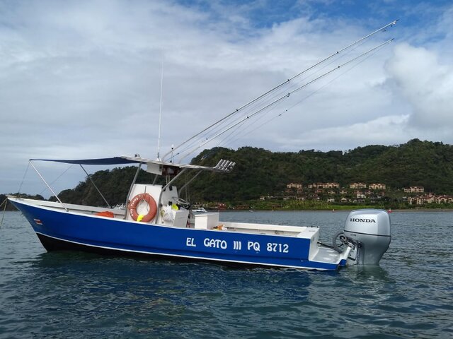 Listing image 1061944