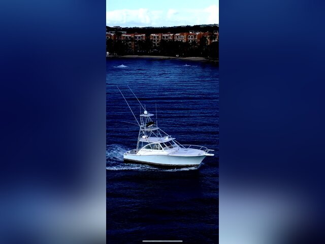 Listing image 1061931