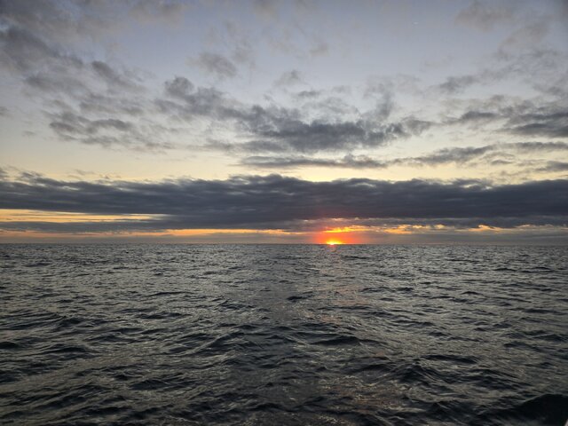 Listing image 1061952
