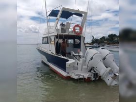 A motorboat docked in calm waters, with a crew member at the helm, showcasing the vessel's design and features.