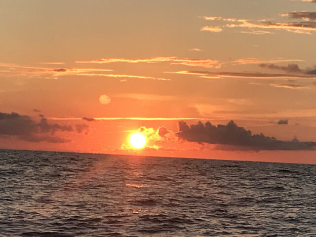 Listing image 1138707