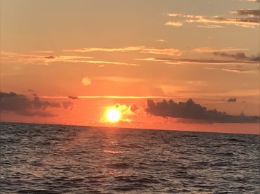 Stroupe Boat and Fishing Charters