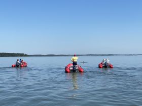 A group of people on inflatable boats observes dolphins swimming nearby, showcasing a thrilling wildlife encounter on the water.