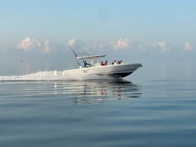 A lively group enjoys a thrilling ride on a speedboat, cutting through calm waters under a clear sky — perfect for adventure seekers on the water.