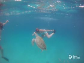 A snorkeler interacts with a sea turtle in crystal-clear waters, showcasing a memorable wildlife encounter in a tropical paradise.