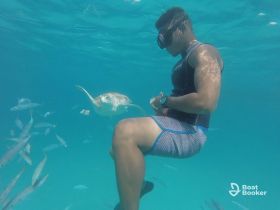 A snorkeler interacts with a sea turtle in crystal-clear waters, surrounded by schools of fish — a captivating wildlife experience in the ocean.