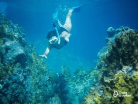 A snorkeler explores vibrant underwater coral formations, showcasing the beauty of marine life and the excitement of snorkeling adventures.