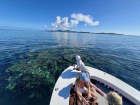 A group of children enjoy a day on the water, exploring vibrant coral reefs from the bow of their boat — a perfect adventure for snorkeling enthusiasts.