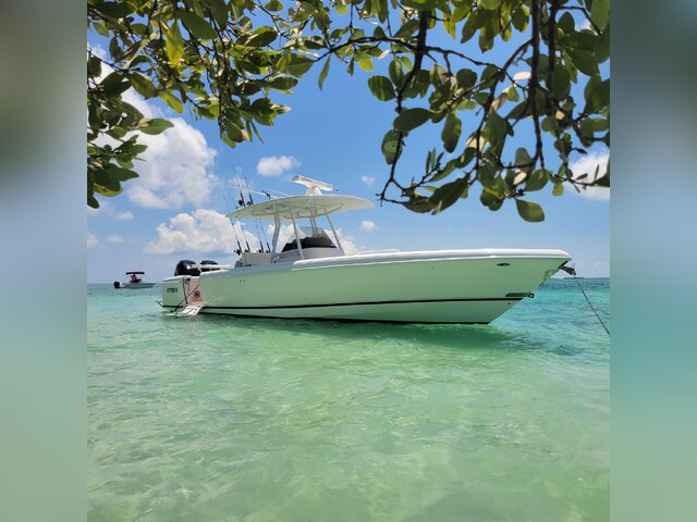 Listing image 1062061