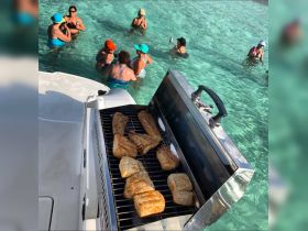 A lively group enjoys a barbecue on the boat while swimming in clear waters, creating the perfect atmosphere for fun and relaxation.