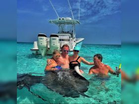 A group of friends interacts with a stingray in the clear turquoise waters, showcasing a memorable wildlife experience during their boating adventure.