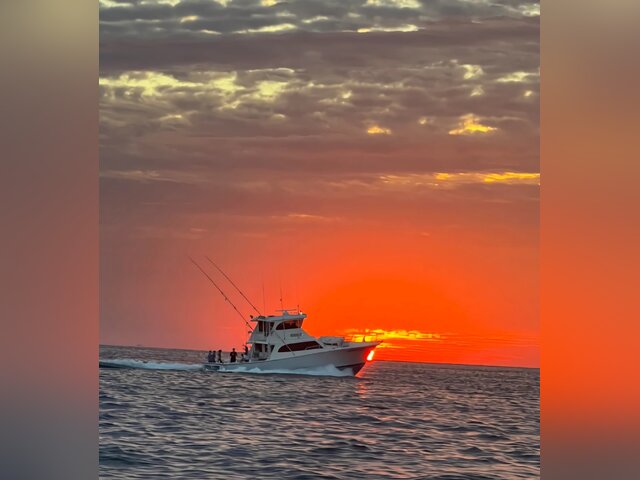 Listing image 1073013
