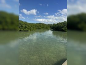 A serene view of a mangrove-lined waterway under a clear blue sky, showcasing the natural beauty of the coastline — perfect for eco tours and nature exploration.