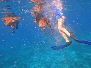 Always Somethin' Shallow Water Tours
