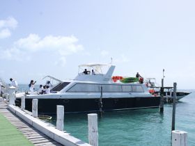 A lively group gathers on a yacht at the dock, showcasing a festive atmosphere perfect for celebrations or group outings on the water.