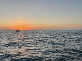 A serene sunset view featuring a boat cruising on calm waters, creating a picturesque scene perfect for evening excursions.