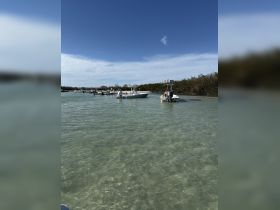 A scenic view of several boats navigating through clear waters surrounded by mangroves, showcasing a vibrant day of boating adventures.