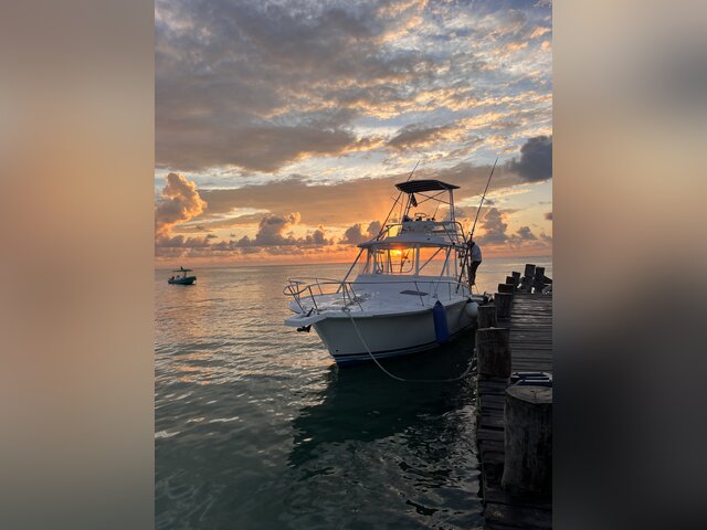 Listing image 1062323