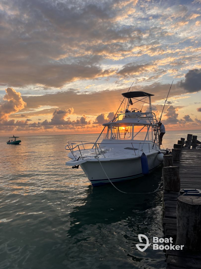 Sunset in the Real catcher