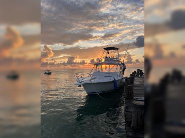 Sunset in the Real catcher