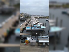 A scenic view of a marina filled with various boats, showcasing a vibrant fishing community and perfect for boating enthusiasts.