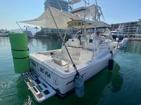 A fishing boat named 'Sofia' docked in a marina, showcasing its sleek design and readiness for a day on the water.
