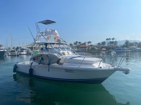 A sleek boat docked in a marina, showcasing its elegant design against a backdrop of palm trees and other vessels — perfect for fishing or leisure outings.