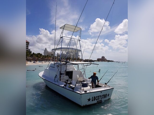 Listing image 1081182