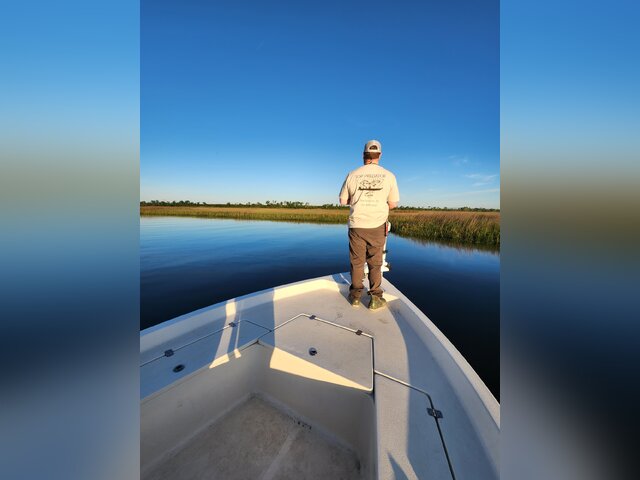 Listing image 1062589