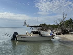 A boat anchored near a beach with two people and a dog enjoying the serene surroundings — a perfect spot for relaxation and adventure.
