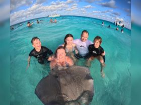A joyful family interacts with a stingray while swimming in crystal-clear waters, creating unforgettable memories during their aquatic adventure.