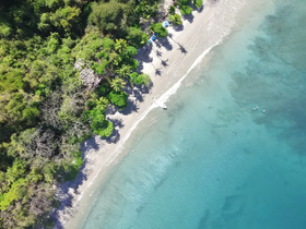 Aerial view of a serene beach with swimmers enjoying the clear waters, surrounded by lush greenery — a perfect tropical getaway.