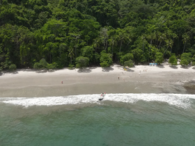 A scenic view of a beach with a boat navigating the shoreline, showcasing the lush greenery and inviting waters — perfect for beach outings and water adventures.