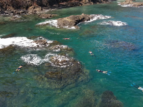 A group of snorkelers explores the vibrant underwater scenery in crystal-clear waters, showcasing the beauty of marine life and rocky formations.