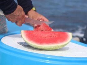 A close-up of a hand slicing a fresh watermelon on a boat, perfect for enjoying refreshing snacks while out on the water.
