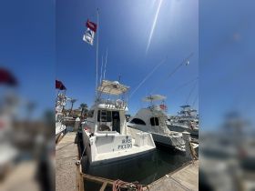A clear view of the 'Más Picudo' boat docked at the marina, showcasing its structure against a bright blue sky — ideal for fishing or leisure trips.