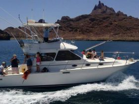 Charter Image