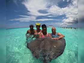 A group of friends interacts with a stingray in the crystal-clear waters, creating a memorable wildlife experience in a tropical paradise.