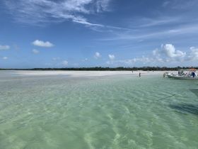 A vibrant scene at a sandbar with guests enjoying the sun and shallow waters, showcasing the perfect getaway for beach lovers and water activities.