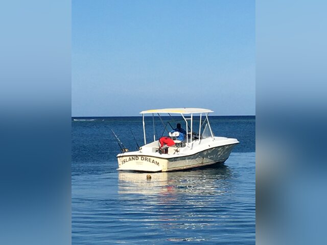 Listing image 1063607