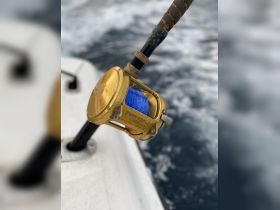 Close-up of a Penn fishing reel with blue line, showcasing essential fishing gear for an exciting day on the water.