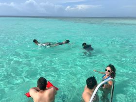 A lively group enjoys snorkeling in crystal-clear waters, showcasing the fun and adventure of a tropical getaway.