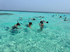 A lively group enjoys snorkeling in crystal-clear waters, showcasing the vibrant marine life and perfect conditions for underwater exploration.