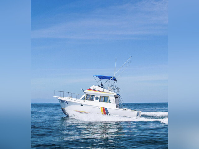 Listing image 1073650